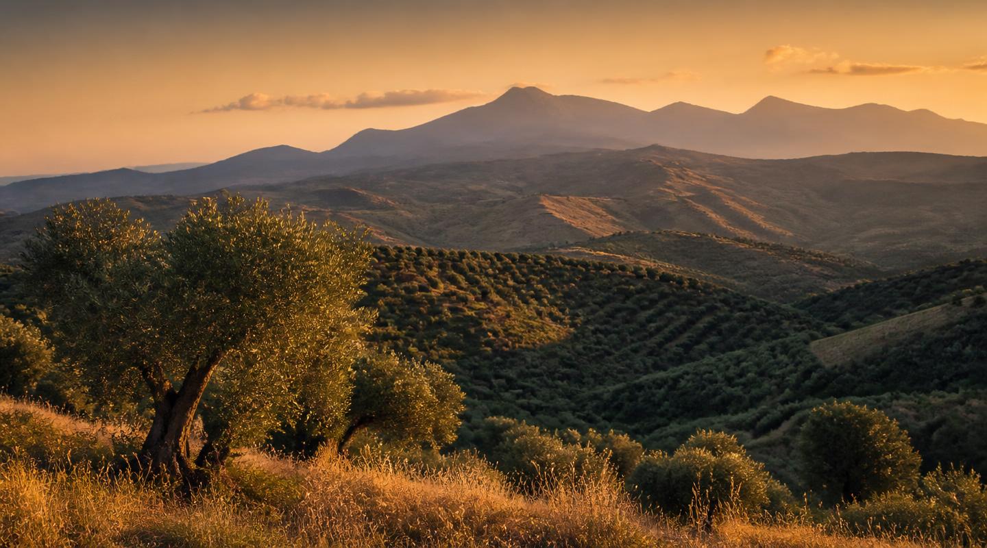 Cretan landscape at golden hour
